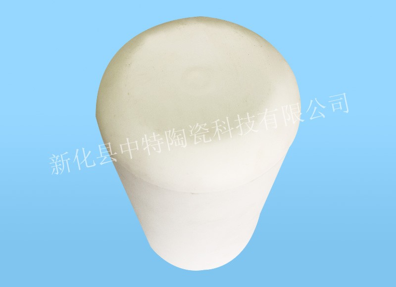 ZTXR20260398