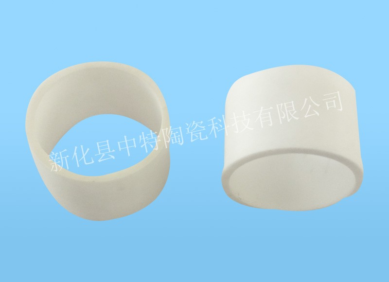 ZTXR20260412