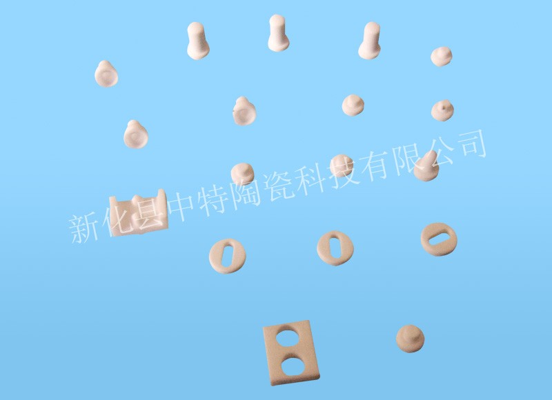 ZTXR20260399